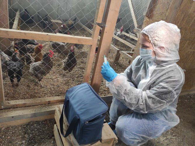 �� ������ ������������ ������������� ����� 1200 ��������