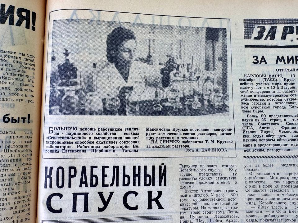 Вырезка из газеты «Слава Севастополя» за сентябрь 1964 года о выращивании овощей без грунта