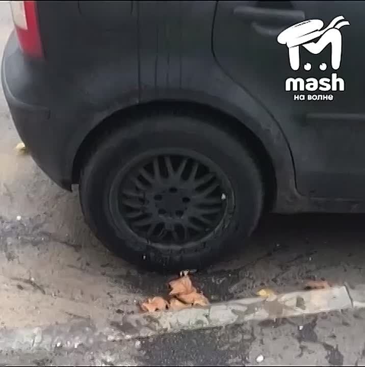 Женщина бомбит яйцами припаркованные на "её месте" машины в Севастополе