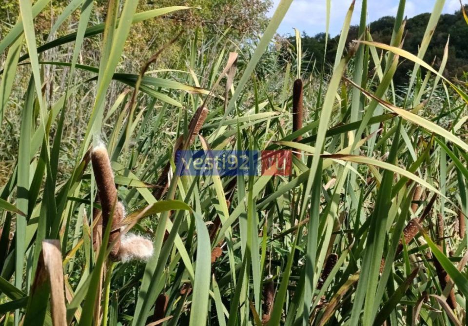 С добрым утром, Севастополь!