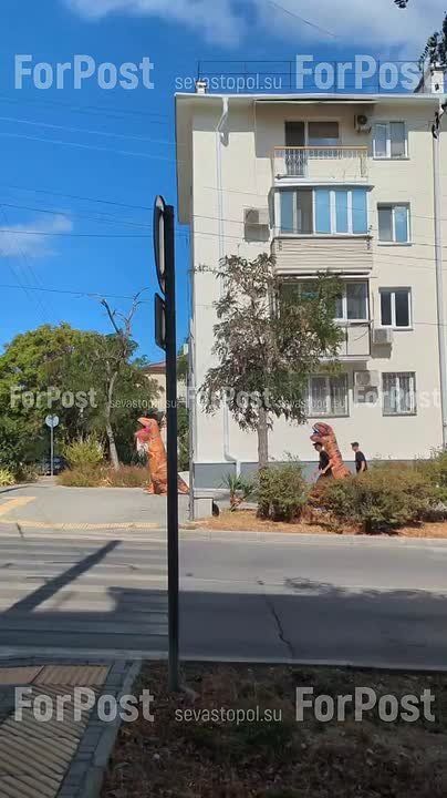 ��� ������ ��������������� �����: �� �������������� ����� ��������� �������� ����������