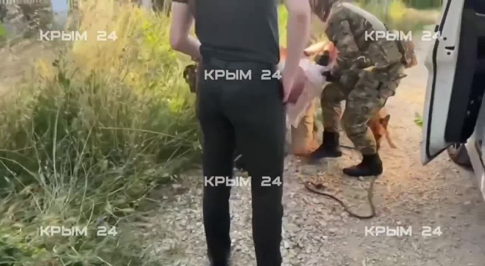 Керчанин предстанет перед судом за оправдание терроризма в соцсетях