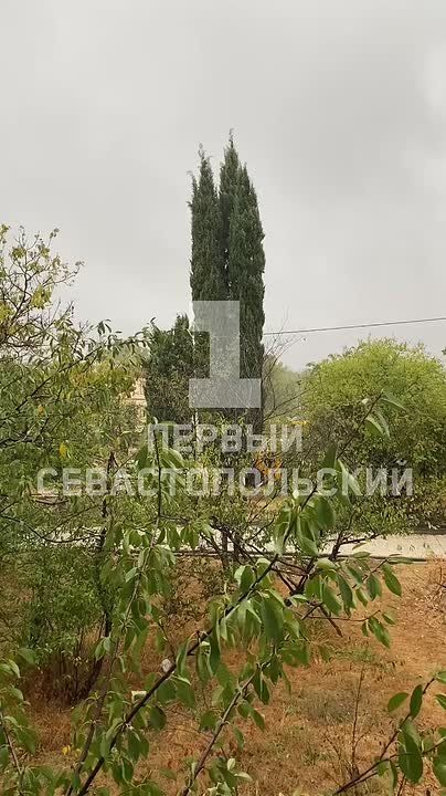 � ����������� ������� � ��������, ��������� ��������� ������� ������, �������� ����� � ���