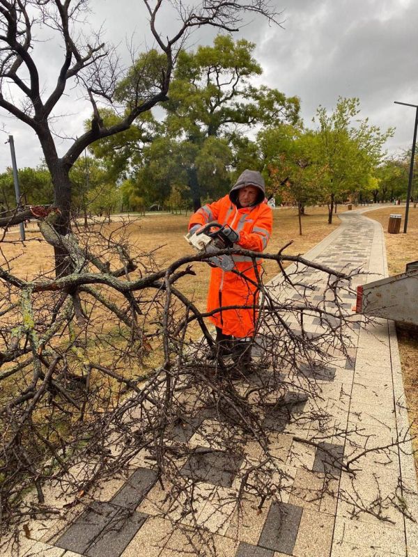 ����������� ������� ����������� � ������������ ������ �������� � ��������� ������