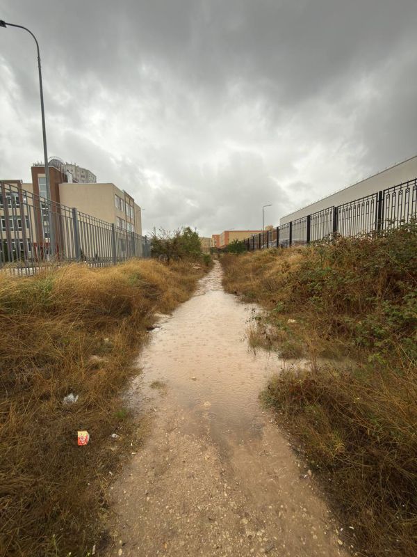 ���� �� ���� ������, �������� ���������� ����� �� �������� ��������� �� �������� �������� ����� ����� �����