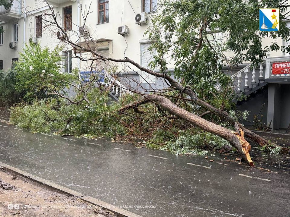 � ����������� ������ ��������