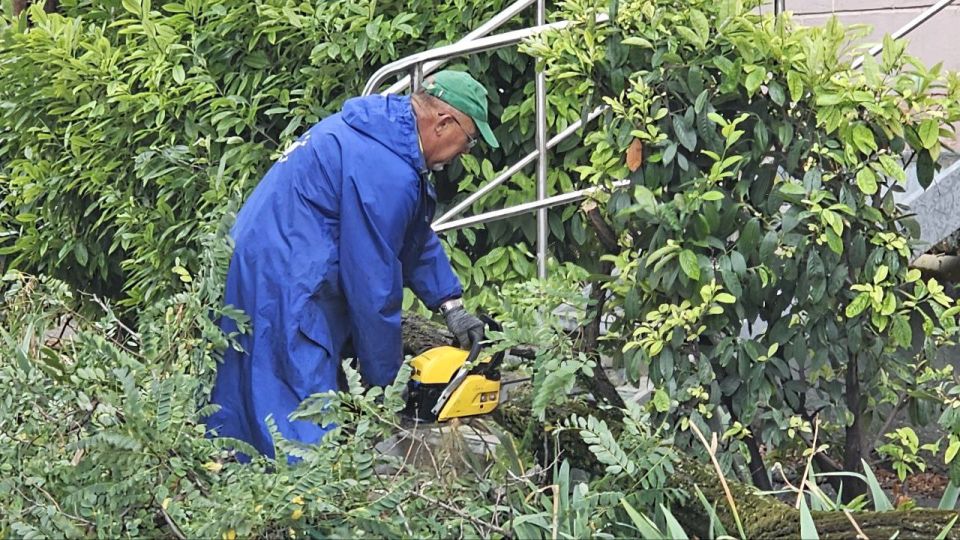 ��� ����������� ����������� �������� � ����������� �������� 405 �������