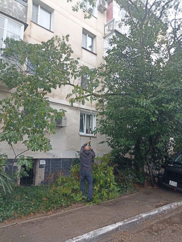 ���������� ����������� �������� ������������� ������ ���������� ������������� �� ��������� ���������� ���� �� ��. ������, 100 � ������ ������ ������������� ����� ������