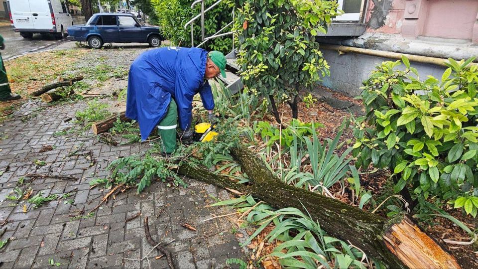 � ������ ���������� �������� ����������� �������, ������� ����������� ����������� ��������