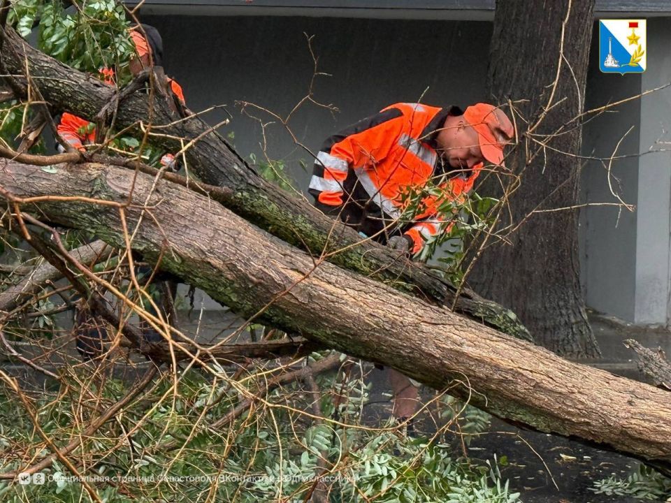 ������������ ������ ������ ���������� ������������� ����������� ��������