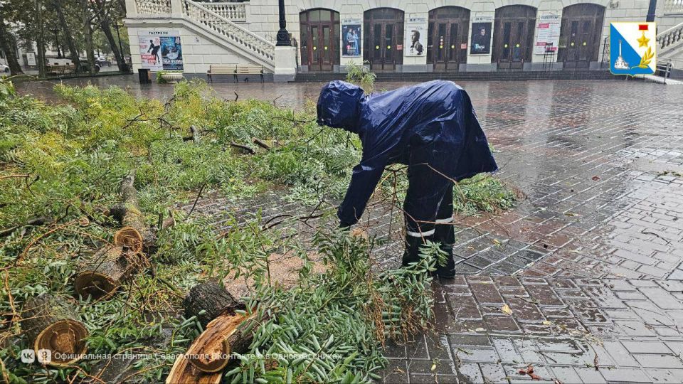 �� ���������� �������� ����������� ������� � ������� ������� ������� �����