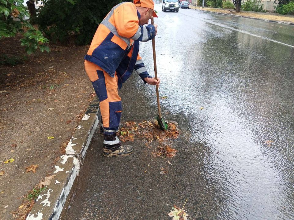 � ������ ���������� �������� ����������� �������, ������� ����������� ����������� ��������