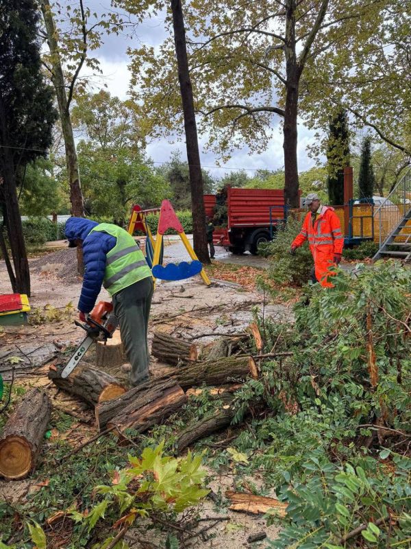 38 ������, 405 ������� � 58 ������ ������� ����������� ����������� �������� � ����������� � ����������