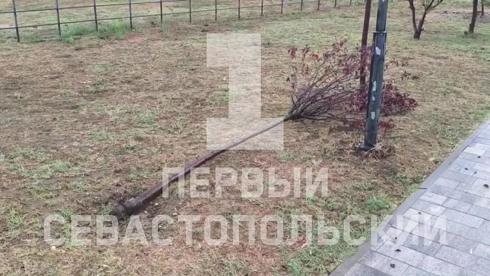 � ��������� ��������� ����� ����� ���