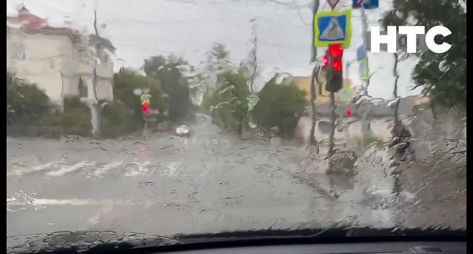 #���_�����. ����� � ������� ����� � ����� �������+� ������� �����������