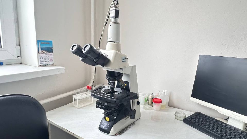 ����� 25 ����� ������ ������ ������������ ��� ������ ��������������� ��������