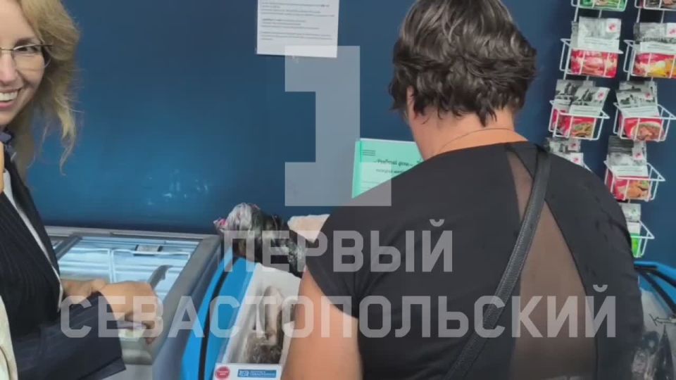 ������������ �� ������ ����� ������ � ���������