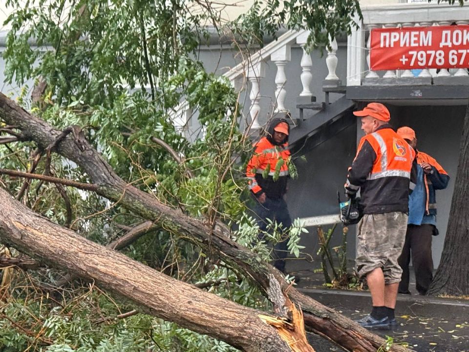 � ����������� ������ �������� �� ���������� ����������� ��������