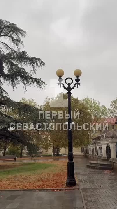 ����� � ������ �� ����������� �����