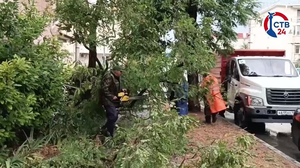 ����������� ������� � ������� ������ ������� ������ � ������ ��������������, 14