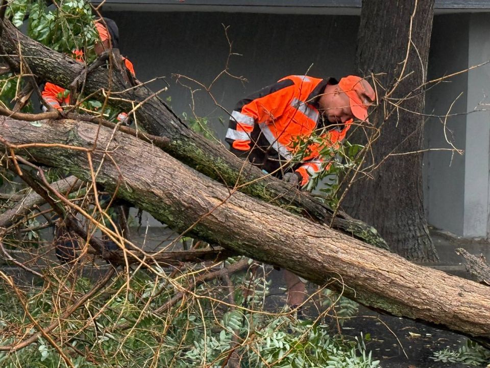 Михаил Развожаев: Провел планерку по устранению последствий непогоды Михаил Развожаев: Провел планерку по устранению последствий непогоды
