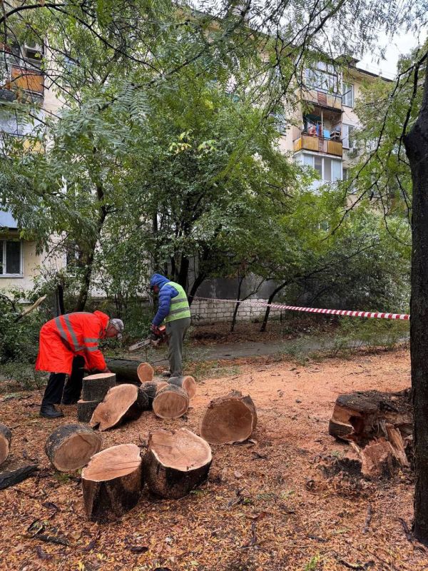 Михаил Развожаев: Оперативная обстановка к настоящему времени в Севастополе: Михаил Развожаев: Оперативная обстановка к настоящему времени в Севастополе: