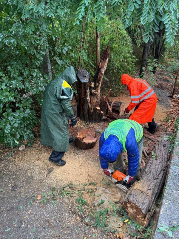 ��� ����������� ����������� �������� � ����������� �������� 405 �������