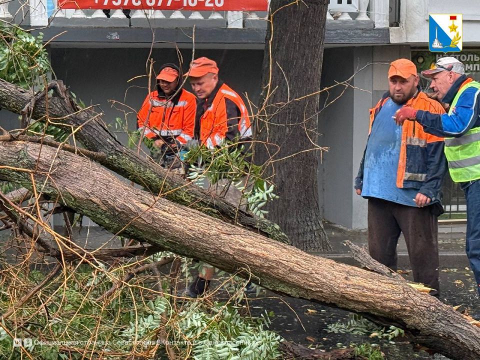 ������������ ������ ������ ���������� ������������� ����������� ��������