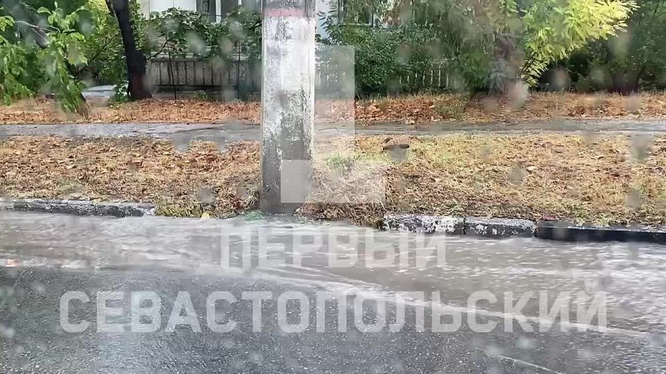 ������� ����� �� ������������ � �����������