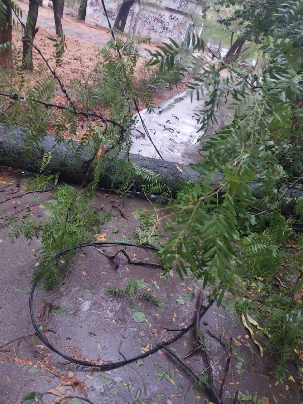 �������: ��������!. � ����� � ��������� �� ���������� ������ ������������� ������������� ������� �������� � �����, � ��� ����� �� ����� ���������������