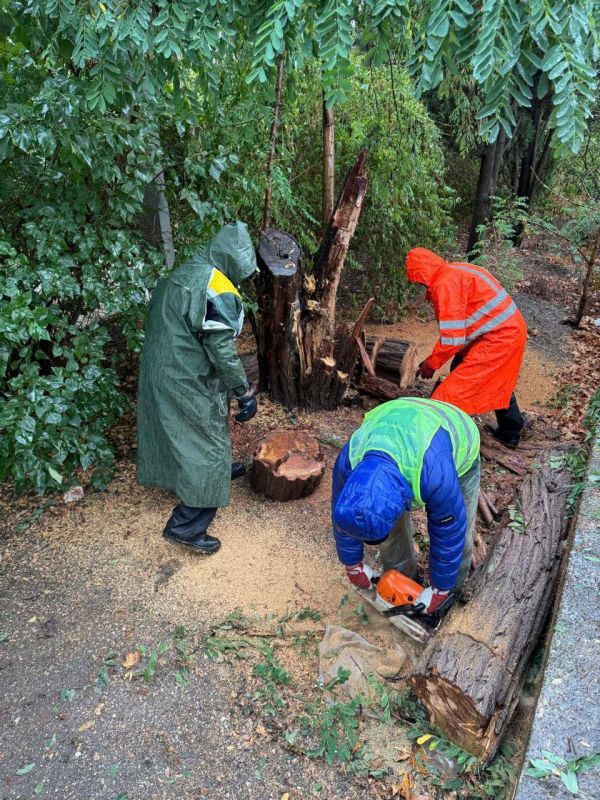 � ������ ���������� �������� ����������� �������, ������� ����������� ����������� ��������