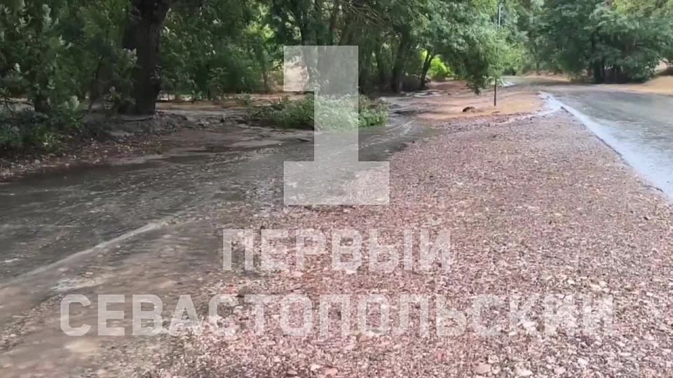 � �������� ����� ������� �������� ����