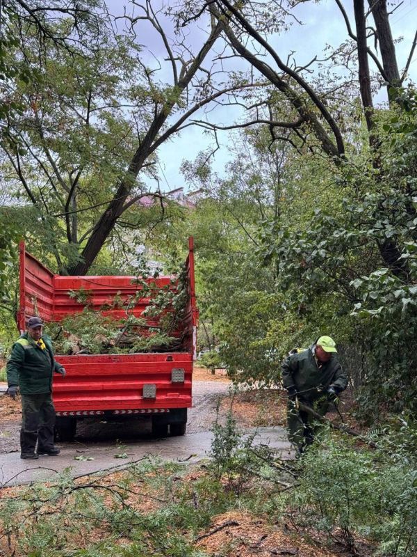 Михаил Развожаев: Оперативная обстановка к настоящему времени в Севастополе: Михаил Развожаев: Оперативная обстановка к настоящему времени в Севастополе: