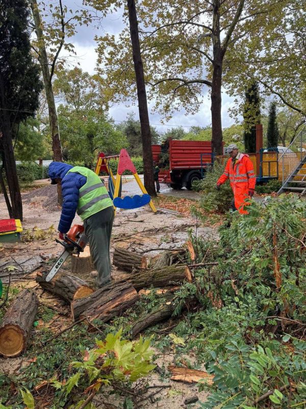 � ������ ���������� �������� ����������� �������, ������� ����������� ����������� ��������