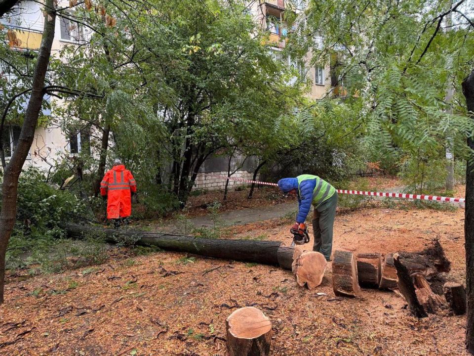 ����������� ������� ����������� � ������������ ������ �������� � ��������� ������