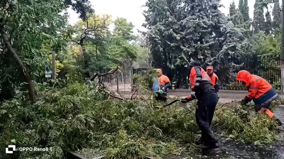 � ����������� ������ ���������� �������� ����������� � ������������ ���������� ��������� � ����������