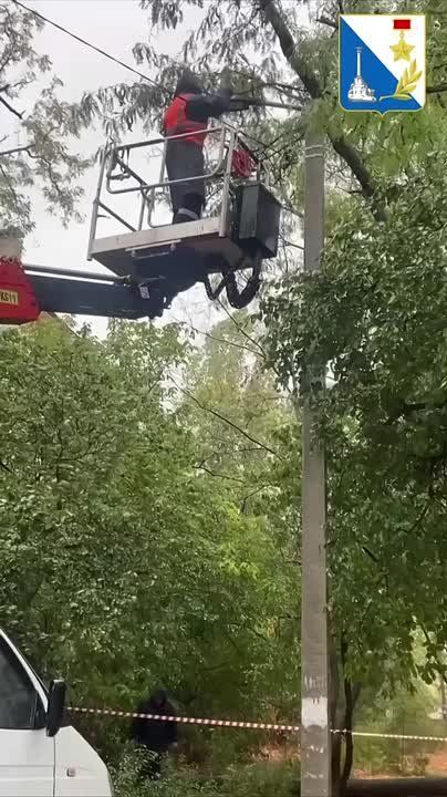 ����������� ��������� ��������������� ���������� ����� ��������� ���������