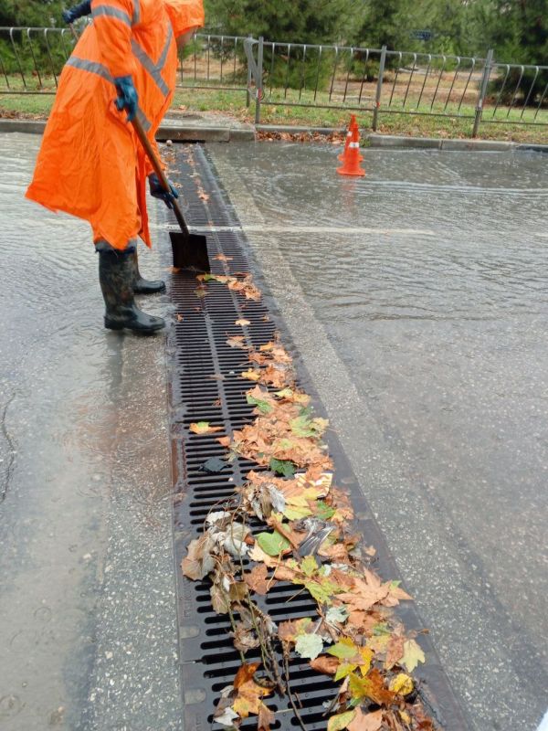 ���������: ������� �������. ������� ������ �������� ����������� ��������� ������ ������ � ������� ������� ��������������� �� ���������� �������� ���� ������ ���� ���������� ������� � ���������� �������