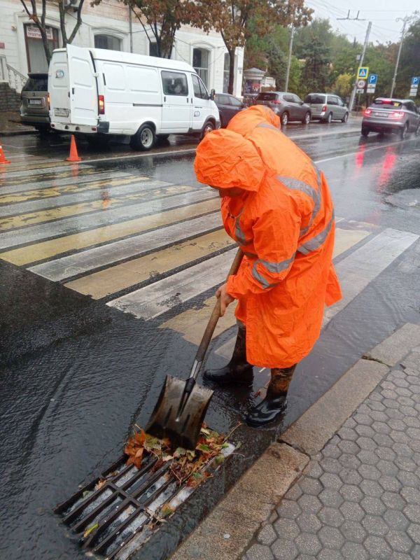 ����������� ������� ����������� � ������������ ������ �������� � ��������� ������