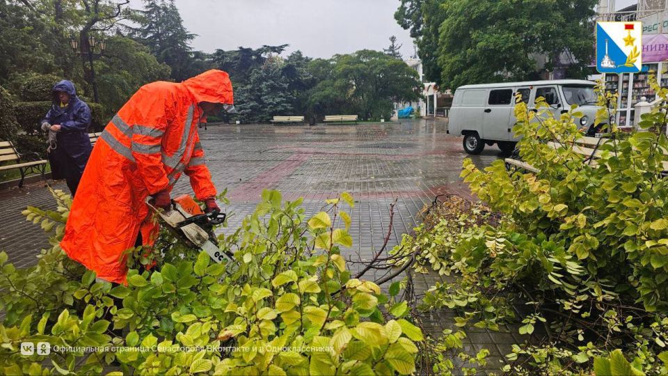 �� ���������� �������� ����������� ������� � ������� ������� ������� �����