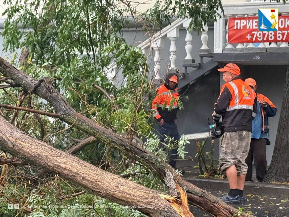 ������������ ������ ������ ���������� ������������� ����������� ��������