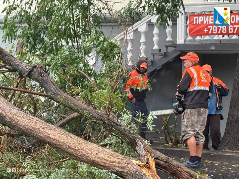 �� ��������� ����� ������ ����� �� ������