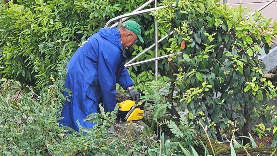 � ������ ���������� �������� ����������� �������, ������� ����������� ����������� ��������