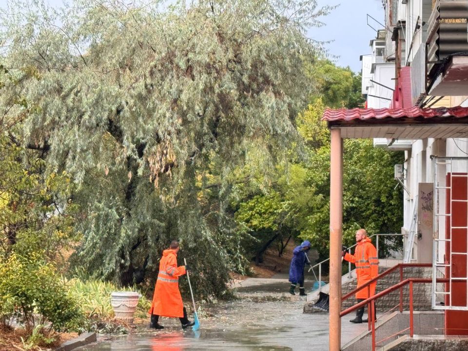 Михаил Развожаев: Оперативная обстановка к настоящему времени в Севастополе: Михаил Развожаев: Оперативная обстановка к настоящему времени в Севастополе:
