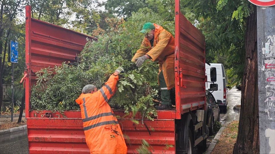 � ������ ���������� �������� ����������� �������, ������� ����������� ����������� ��������