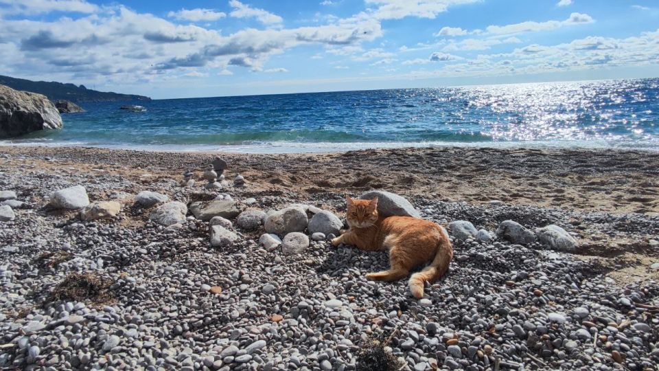 ���������� � ����������� � �����, ����� ����� ���������� ���� ����� �����, ���������� ����� �������� � ����������� ������ ����������