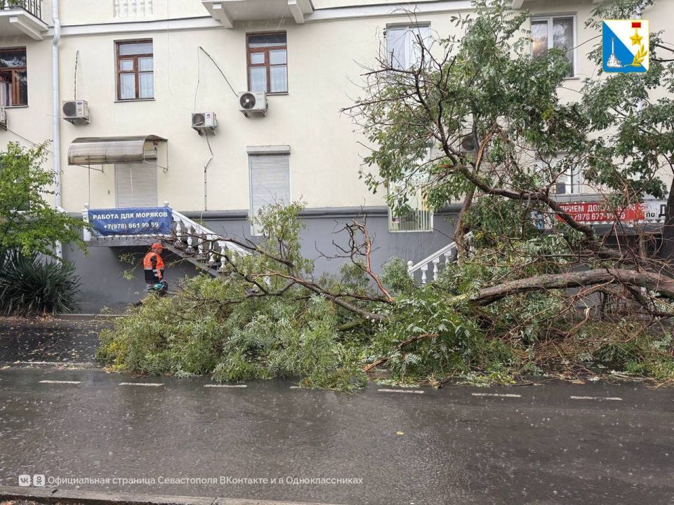 ������������ ������ ������ ���������� ������������� ����������� ��������