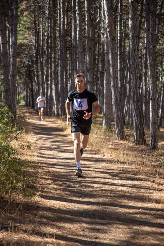 � ������ ����������� ����� ����������� ���� ������ �� �. ����������� ��������� ����������������� �����