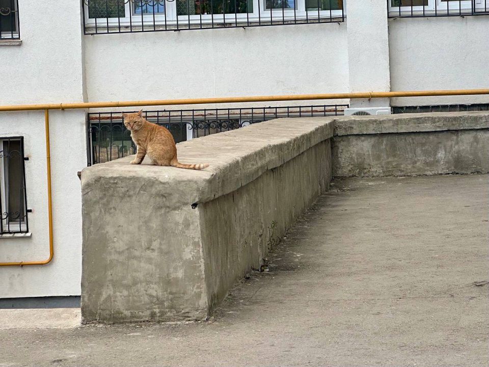 �������� ������: ���������� � �������� ����� �� ����� �����������, ����� �������� ��� ������������ ������� ��������� ���� �� ��. ����������� 10, 12, 14