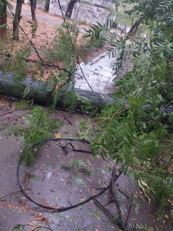 � ����������� ������ �������� �� ������ � ������������� ������